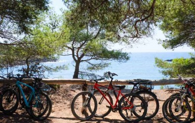 île en France Porquerolles